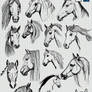 Free Horse Head Photoshop Brushes And Png Files