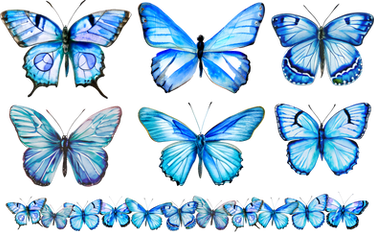 Free Blue Butterflies Png