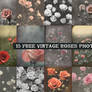 Free Vintage Rose Photos