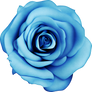 Free Blue Rose Png