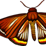 Free ai generated Moth Png