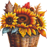 Free Fall Basket Png
