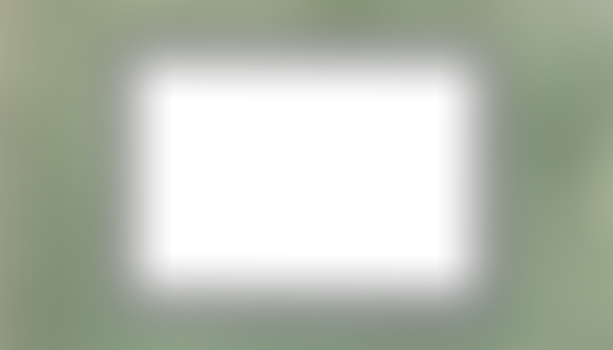 Flat Card Mockup - Green Background