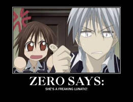 Zero Says