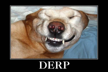 Derp Dog