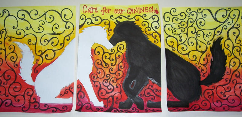 Care for our canines - Design