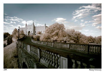 Castle in IR