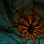 the Kraken ...