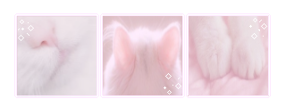 kitty aesthetic | f2u