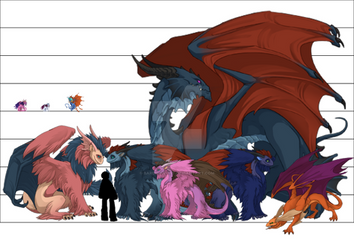 Dragon Sizes