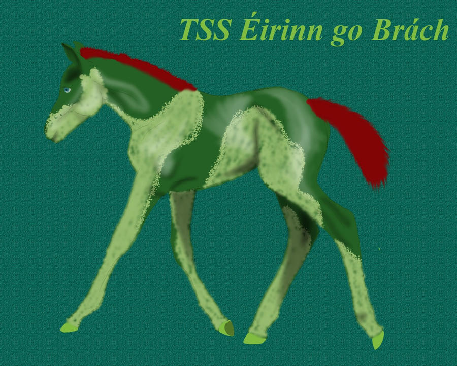TSS Eirinn go Brach by Tehutiy on DeviantArt