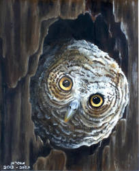 the owl nest