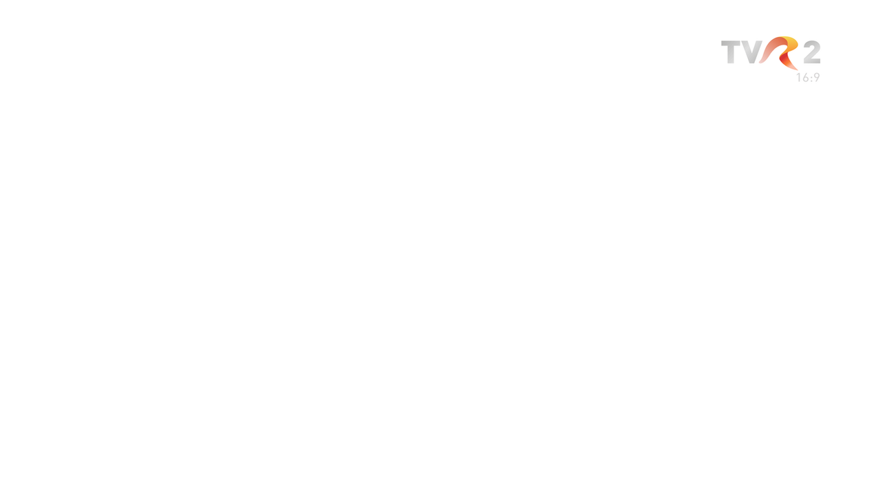 TVR2 On Screen Bug (2008-2015) (Widescreen) by DTVRocks on DeviantArt