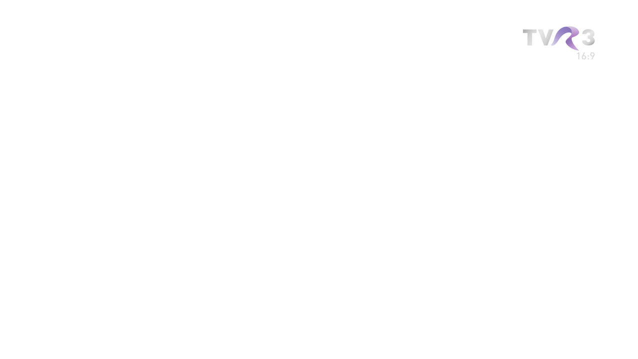 TVR3 On Screen Bug (2008-2013) (Widescreen) by DTVRocks on DeviantArt