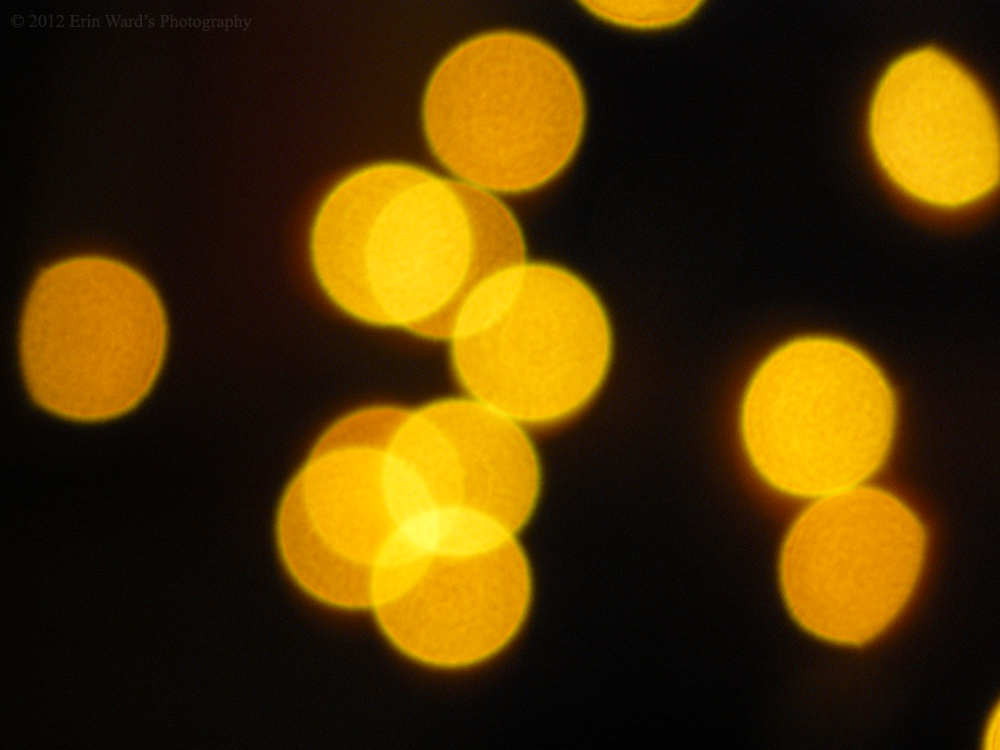 Gold Bokeh