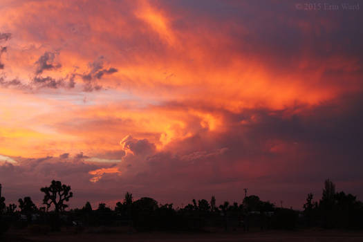 Thunderstorm Aftermath