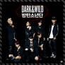 BTS - Dark and Wild