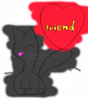 Frienship cat Tobey