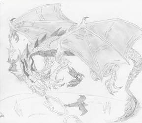 A dragon fight