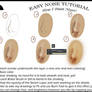 Nose Tutorial