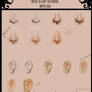 Nose and Ear tutorial