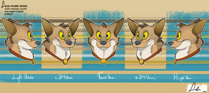 Modelsheet Face Coyote 