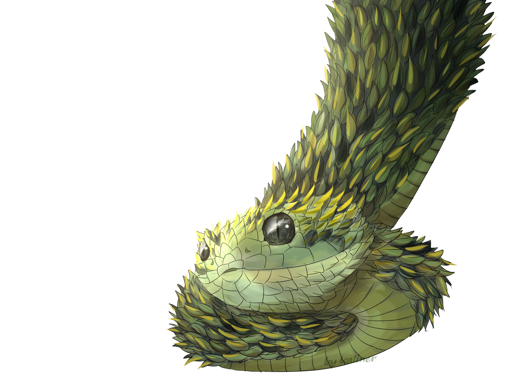 Atheris hispida-3D by bAdCompany666 on DeviantArt