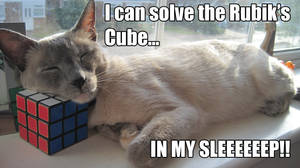 I can solve a Rubik's Cube!