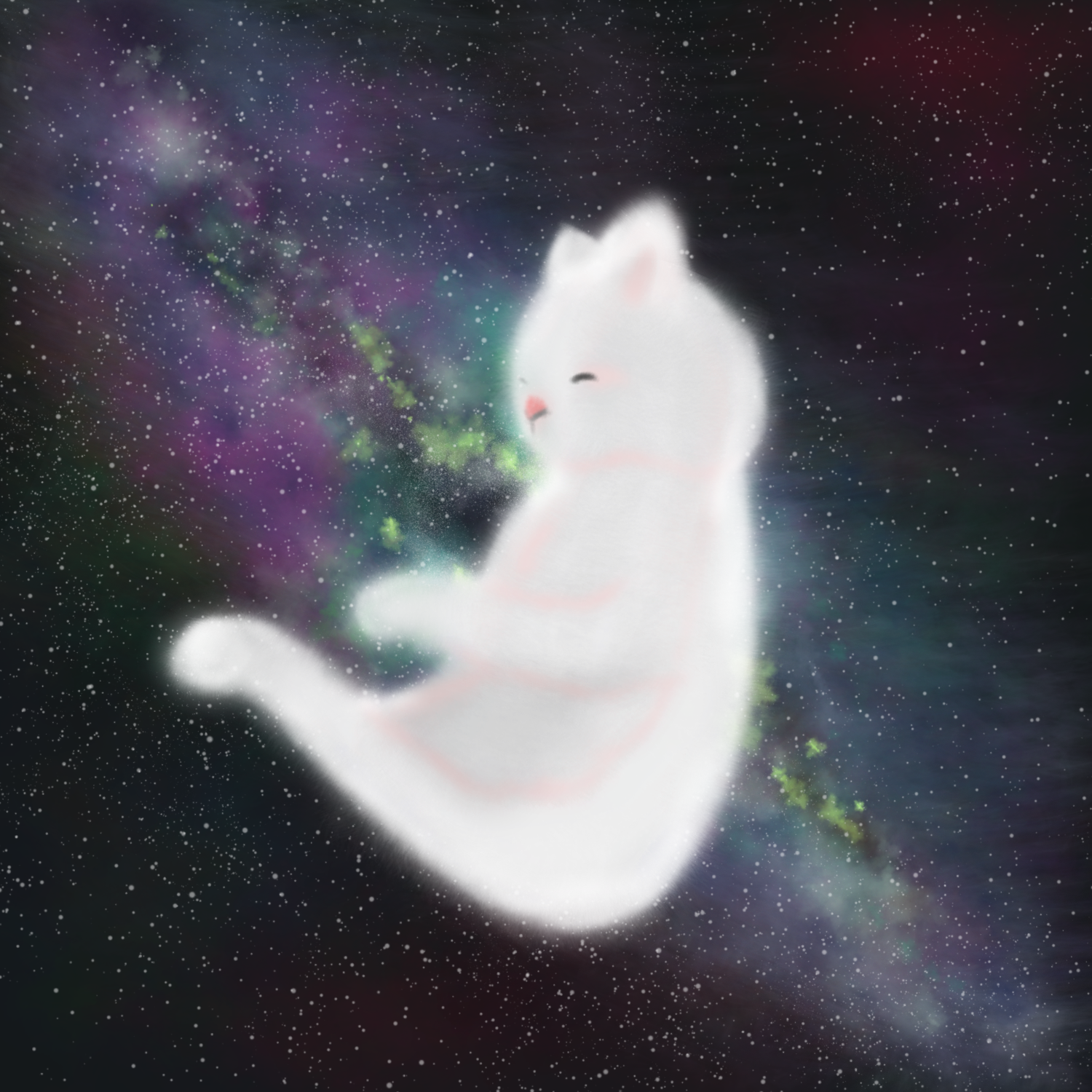 Galaxy Cat