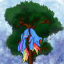Rainbow Dash sleeping in tree
