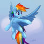 Rainbow Dash hovers in the sky