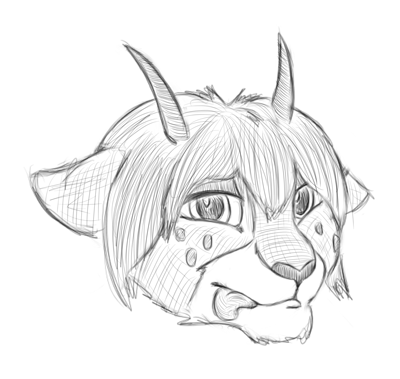 Gift Sketch For Mirrsul