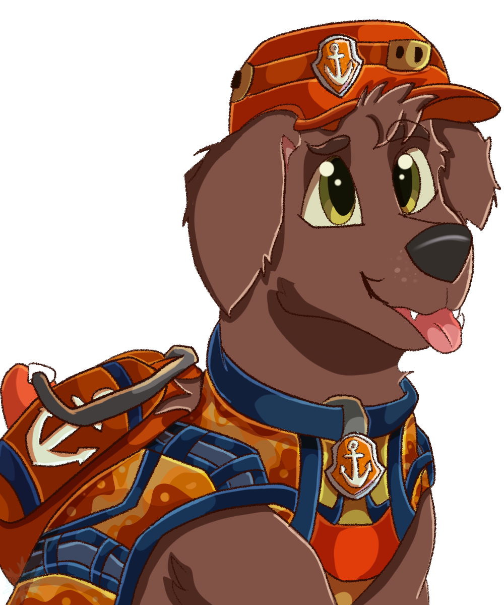 Zuma from Paw Patrol by venmey on DeviantArt