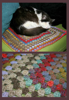 Granny square pet blanket