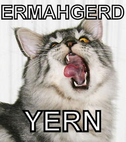 ERMAHGERD YERN