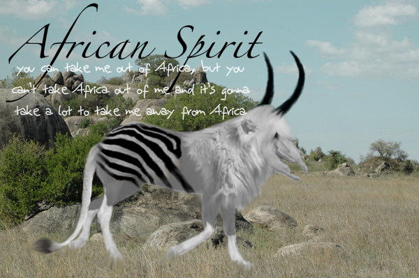 Africa Spirit by McflyRocks on DeviantArt