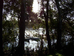 Canoes in the Outback