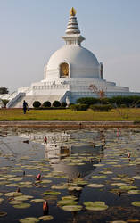 Peace pagoda, Lumbini - Nepal