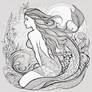 Mystery mermaid