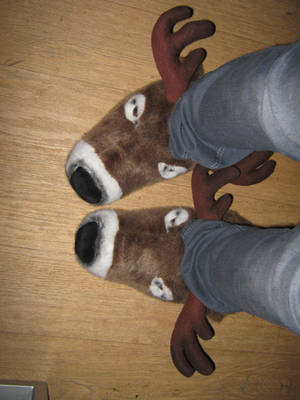 My Epic SLIPPERS