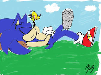 Sonic The  Hedgehog 2