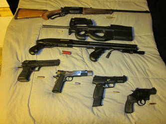 Gun Collection