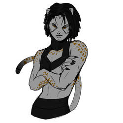 Cheetah
