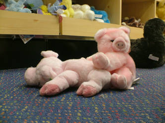Stuffed Animals 2: Piggystyle