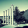 Pillars, Shadows, and Trees