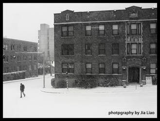 Snow Storm on Campus