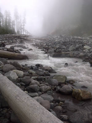 Carbon River Valley by TJ-Scar Carbon River Valley by TJ-Scar