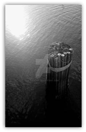 All wet- light and dark by TJ-Scar All wet- light and dark by TJ-Scar