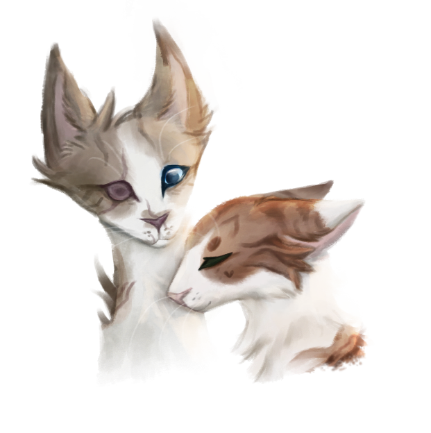 Kip tekent al te lang en te veel dingen van Warrior cats Dcwwwfl-0a8b0440-fdf8-4764-8920-51d144558184.png?token=eyJ0eXAiOiJKV1QiLCJhbGciOiJIUzI1NiJ9.eyJzdWIiOiJ1cm46YXBwOjdlMGQxODg5ODIyNjQzNzNhNWYwZDQxNWVhMGQyNmUwIiwiaXNzIjoidXJuOmFwcDo3ZTBkMTg4OTgyMjY0MzczYTVmMGQ0MTVlYTBkMjZlMCIsIm9iaiI6W1t7InBhdGgiOiJcL2ZcLzhiMzg2OGFjLWQ1ZjktNDE0Yi04Y2VlLWE2NWJhMTViOTE5MlwvZGN3d3dmbC0wYThiMDQ0MC1mZGY4LTQ3NjQtODkyMC01MWQxNDQ1NTgxODQucG5nIn1dXSwiYXVkIjpbInVybjpzZXJ2aWNlOmZpbGUuZG93bmxvYWQiXX0