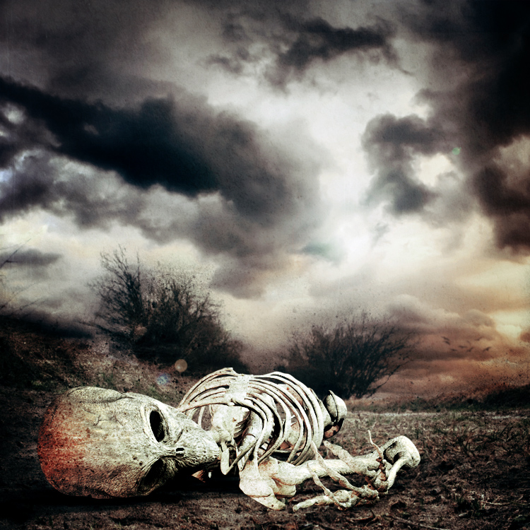 Deathly Photo manipulation